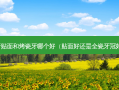 牙贴面和烤瓷牙哪个好（贴面好还是全瓷牙冠好）