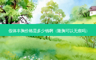 假体丰胸价格是多少钱啊（隆胸可以无痕吗）