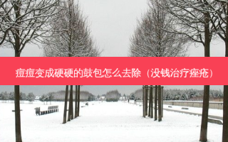 痘痘变成硬硬的鼓包怎么去除（没钱痤疮）