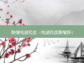 除皱电波拉皮（电波拉皮除皱好）