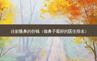 注射隆鼻的价钱（做鼻子好的医生排名）