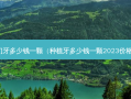 补门牙多少钱一颗（种植牙多少钱一颗2023价格表）