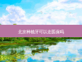 北京种植牙可以走医保吗