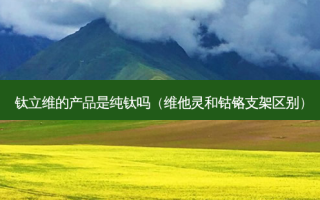 钛立维的产品是纯钛吗（维他灵和钴铬支架区别）