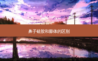 鼻子硅胶和膨体的区别