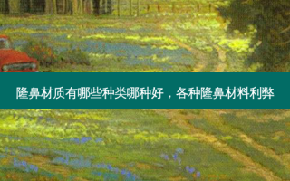 隆鼻材质有哪些种类哪种好，各种隆鼻材料利弊