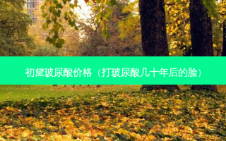初黛玻尿酸价格（打玻尿酸几十年后的脸）