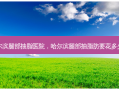 哈尔滨腿部抽脂医院，哈尔滨腿部抽脂肪要花多少钱