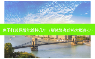 鼻子打玻尿酸能维持几年（膨体隆鼻价格大概多少）