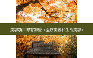 美容项目都有哪些（医疗美容和生活美容）