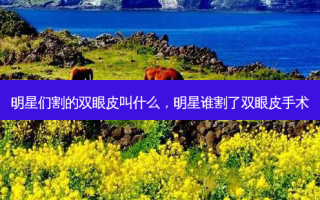 明星们割的双眼皮叫什么，明星谁割了双眼皮手术