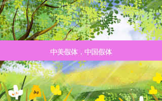 中美假体，中国假体