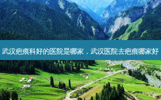 武汉疤痕科好的医院是哪家，武汉医院去疤痕哪家好