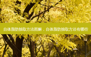自体脂肪抽取 *** 图解，自体脂肪抽取 *** 有哪些