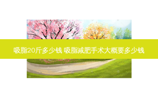 吸脂20斤多少钱 吸脂减肥手术大概要多少钱