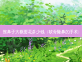 整鼻子大概要花多少钱（软骨隆鼻的手术）