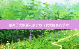 整鼻子大概要花多少钱（软骨隆鼻的手术）