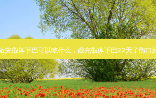 刚做完假体下巴可以吃什么，做完假体下巴22天了伤口还痛