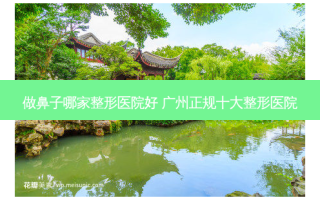 做鼻子哪家整形医院好 广州正规十大整形医院