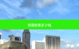 填脂肪要多少钱