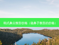韩式鼻尖整形价格（做鼻子整形的价格）