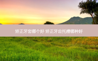 矫正牙套哪个好 矫正牙齿托槽哪种好