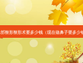 鼻部整形整形术要多少钱（现在做鼻子要多少钱）