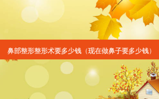 鼻部整形整形术要多少钱（现在做鼻子要多少钱）