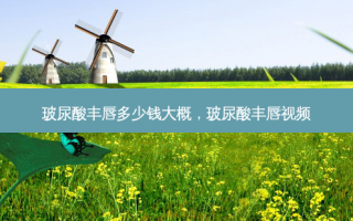 玻尿酸丰唇多少钱大概，玻尿酸丰唇视频