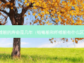 纤维桩的寿命是几年（钴铬桩和纤维桩有什么区别）