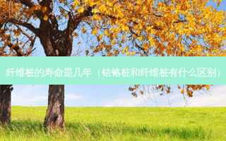 纤维桩的寿命是几年（钴铬桩和纤维桩有什么区别）