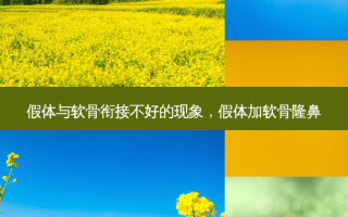 假体与软骨衔接不好的现象，假体加软骨隆鼻