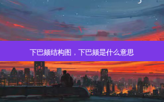 下巴颏结构图，下巴颏是什么意思