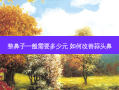 整鼻子一般需要多少元 如何蒜头鼻