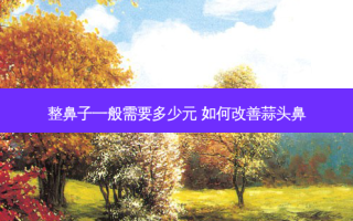 整鼻子一般需要多少元 如何蒜头鼻