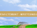箍牙为什么下巴都没有了，箍牙后下巴后缩怎么办