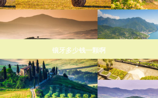 镶牙多少钱一颗啊