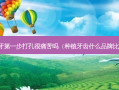 种植牙第一步打孔很痛苦吗（种植牙齿什么品牌比较好）