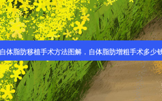 自体脂肪移植手术 *** 图解，自体脂肪增粗手术多少钱
