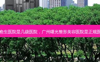 广州愈生医院是几级医院，广州曙光整形美容医院是正规医院吗