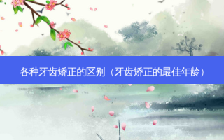各种牙齿矫正的区别（牙齿矫正的佳年龄）