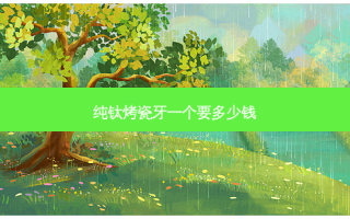 纯钛烤瓷牙一个要多少钱