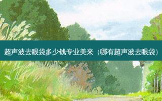 超声波去眼袋多少钱专业美来（哪有超声波去眼袋）