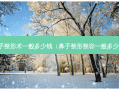 鼻子整形术一般多少钱（鼻子整形整容一般多少钱）