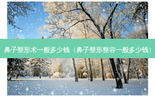 鼻子整形术一般多少钱（鼻子整形整容一般多少钱）