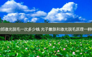 脸部激光脱毛一次多少钱 光子嫩肤和激光脱毛原理一样吗