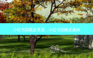 小红书双眼皮吊顶，小红书双眼皮案例