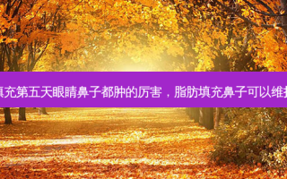 脂肪填充第五天眼睛鼻子都肿的厉害，脂肪填充鼻子可以维持多久
