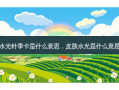 水光针季卡是什么意思，皮肤水光是什么意思