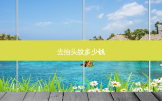 去抬头纹多少钱